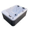 Allure 3-Person 120V/240V Hybrid Plug N Play Hot Tub 